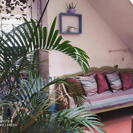Casa Atenas (Adults Only)
